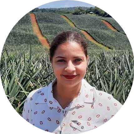 Mariel I. Cárdenas Mariel I. Cárdenas Colorada Fresh Pineapples